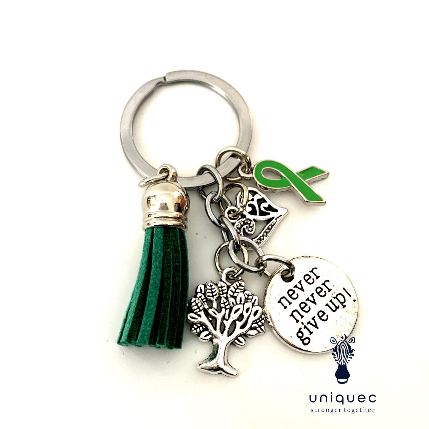 Green Awareness Ribbon Never Give Up Keychain Tourettes Syndrome, Fibrodysplasia Ossifican's Progressiva, Leukemia