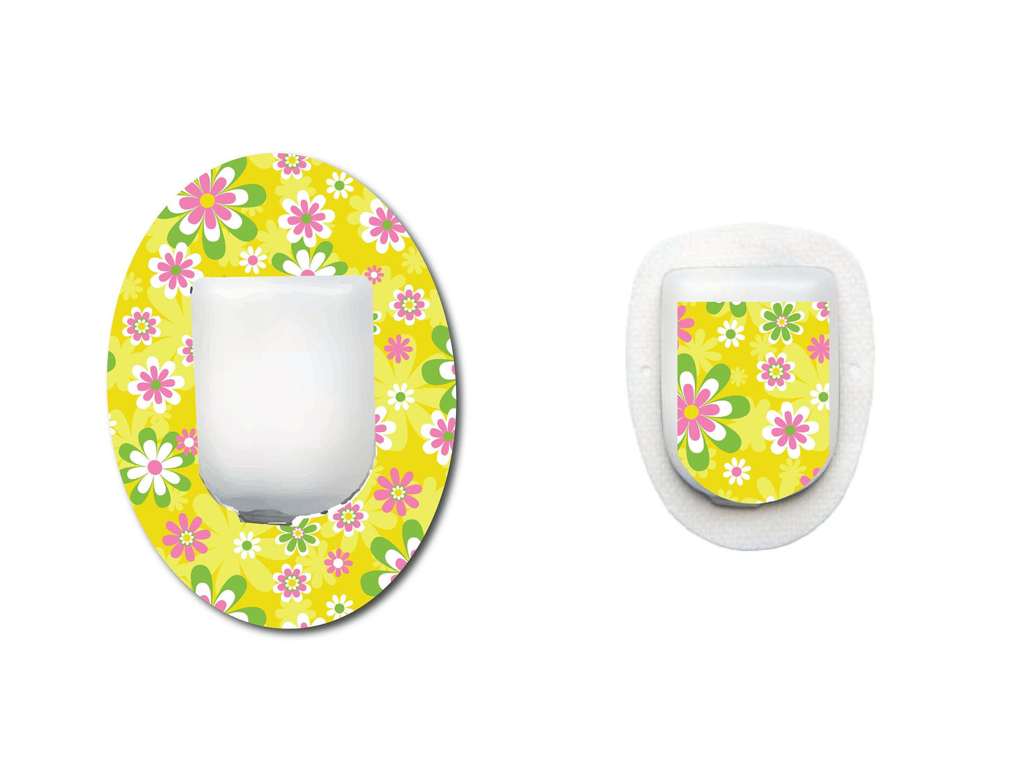 Bright Shasta Daisy Cgm Set